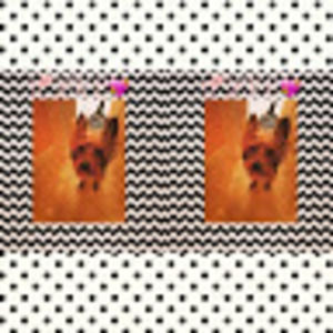 Meet your Posher, Sydney